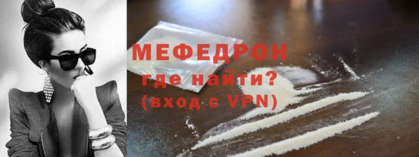 МДПВ Вяземский