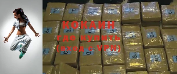 МДПВ Вяземский