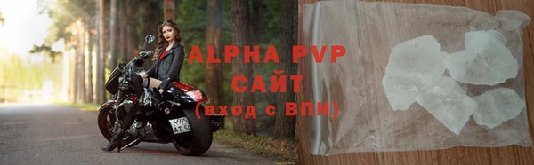 стаф Вязьма