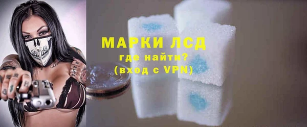 стаф Вязьма