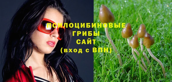 круглые Вязники