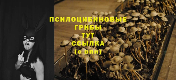 бутират Горнозаводск