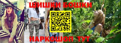 apvp Партизанск
