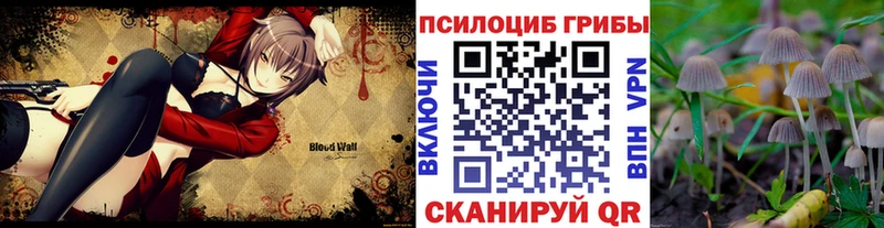 Псилоцибиновые грибы мухоморы  Моршанск 