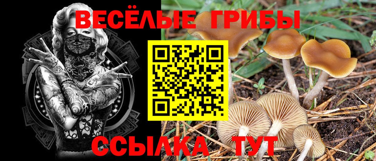 Галлюциногенные грибы Magic Shrooms Моршанск