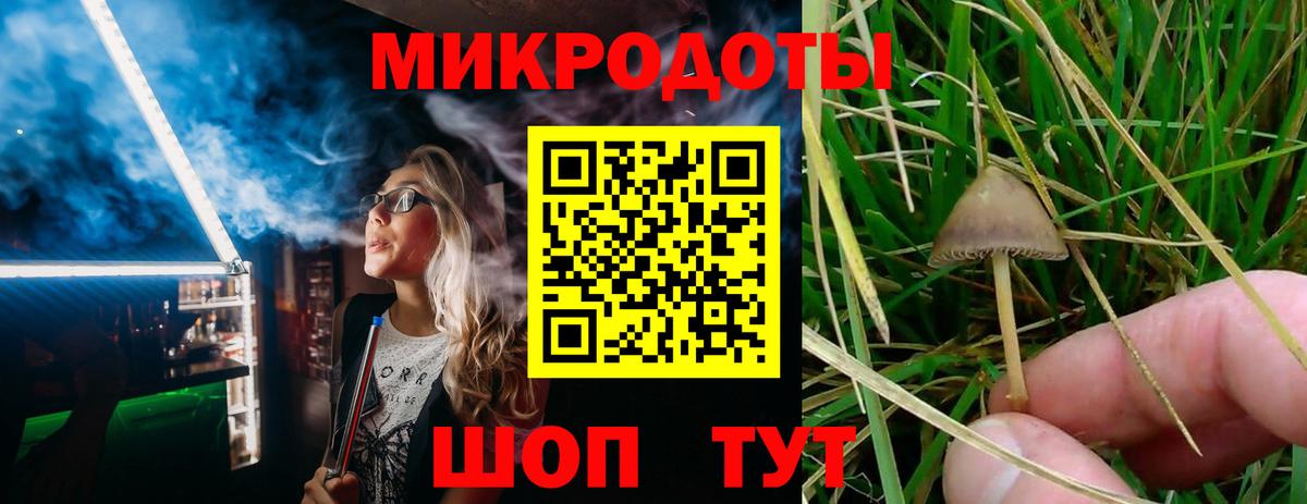 Галлюциногенные грибы мухоморы Моршанск