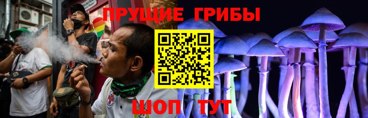 Моршанск  Галлюциногенные грибы мицелий  Вход с VPN 
